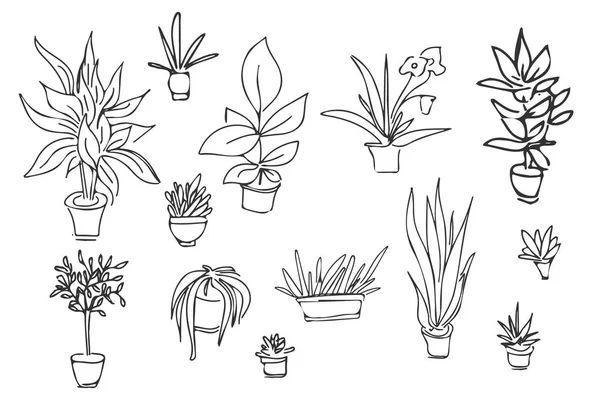 Küme farklı bitkilerin kaktüs. Elle çizilmiş illüstrasyon. — Stok Vektör