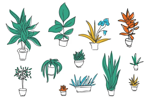 一整套不同的植物，仙人掌。手绘插图. — 图库矢量图片