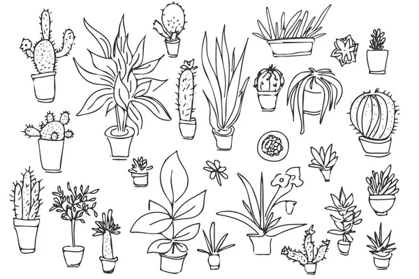 Set von verschiedenen Pflanzen, Kakteen. Handgezeichnete Illustration. — Stockvektor