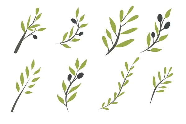 Оливкова Лавка Векторні Ілюстрації — стоковий вектор