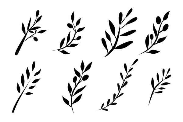 Olive brunch set. Digital illustration