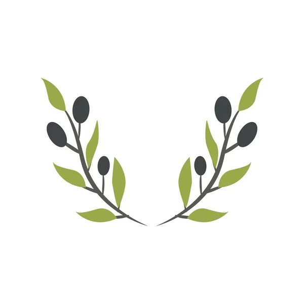Olive brunch set. Digital illustration — Stock Photo, Image