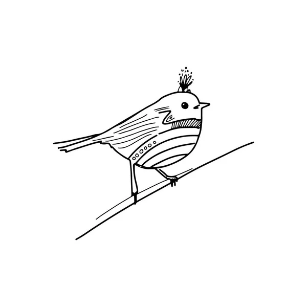 Kuş el tasarımınız için çizilen illüstrasyon — Stok Vektör