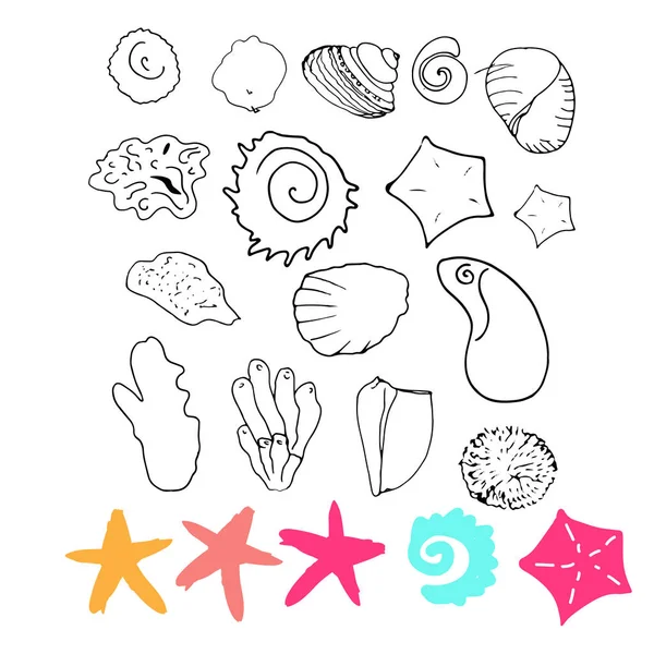 Seashell Sea Shell Starfish Squid Jellyfish Seahorse Crab Nature Ocean Aquatic Underwater Vector Set Hand Drawn Marine Engraving Illustration On Chalkboard Background Stock Vector Image By C Jukapulka
