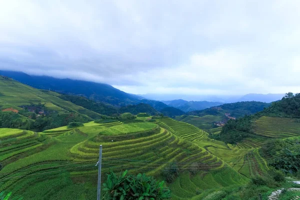 Longji pirinç terasları, guangxi Eyaleti, Çin