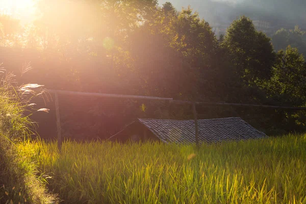 stock image Longji rice terraces, Guangxi province, China