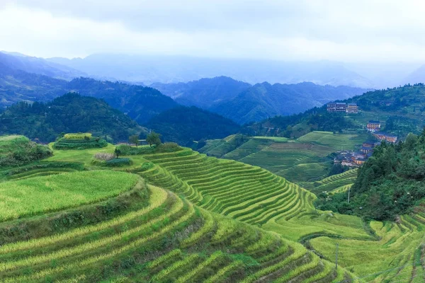 Longji rýžové terasy, provincii Kuang-si, Čína Stock Obrázky