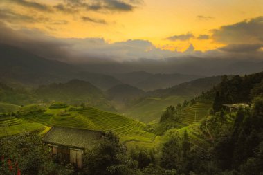 Longji pirinç terasları, guangxi Eyaleti, Çin