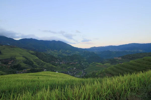 Longji pirinç terasları, guangxi Eyaleti, Çin