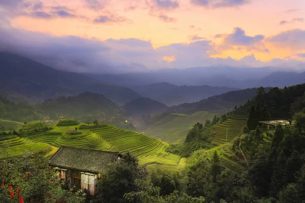 Longji pirinç terasları, guangxi Eyaleti, Çin