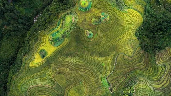 Longji rice terraces, Guangxi province, China — Stock Photo, Image