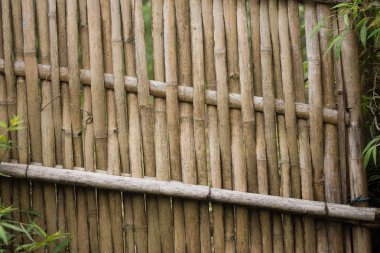 Bambu örgü kapı ev