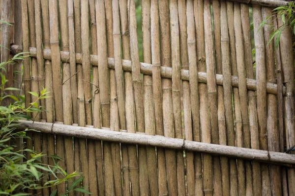 Bamboo väva dörren hus — Stockfoto