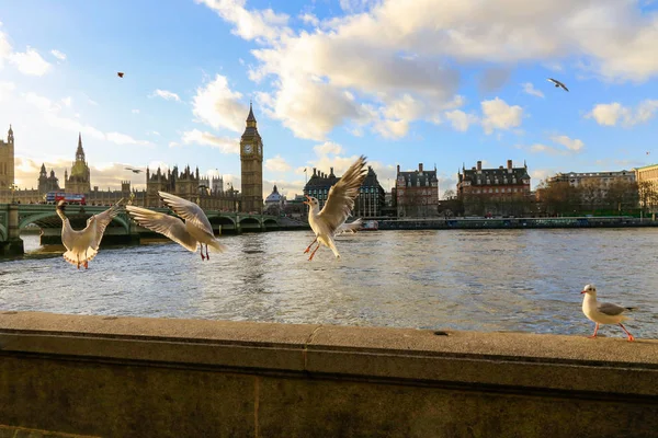 Büyük Ben, Londra, İngiltere