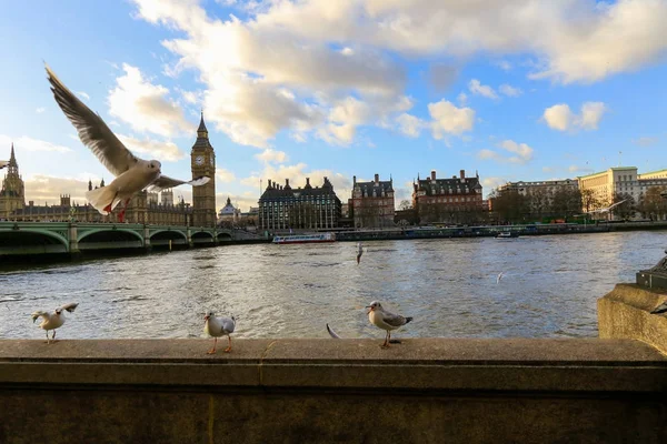 Büyük Ben, Londra, İngiltere