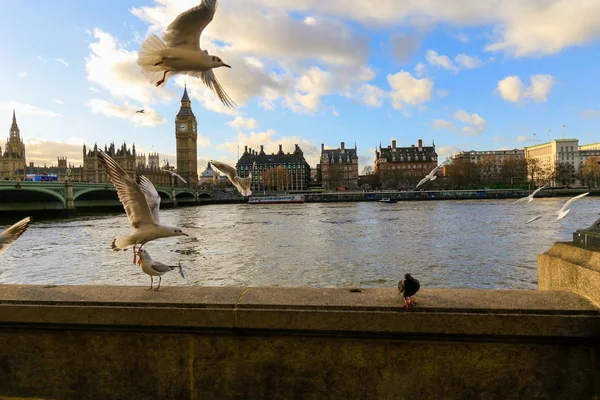 Büyük Ben, Londra, İngiltere