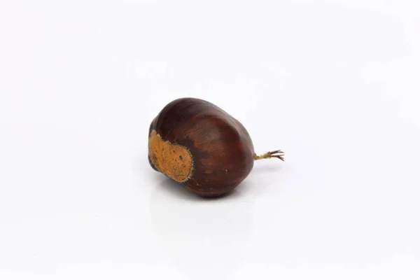 Closeup chestnuts on white background — Stock Photo, Image