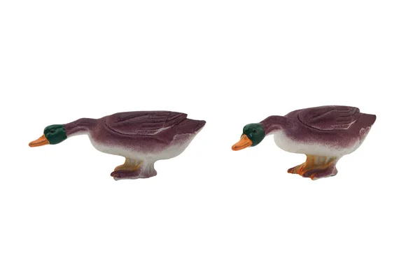 Isolated duck toy photo. — Stock Photo, Image