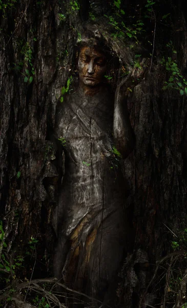 Orman perisi ahşap heykel fotoğraf