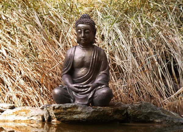 Μνημειώδες Χάλκινο Άγαλμα Του Διαλογισμού Βούδα Φόντο Φύση — Φωτογραφία Αρχείου