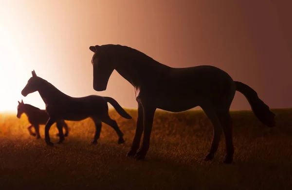 夕日を背景に放牧 つの馬のシルエット — ストック写真