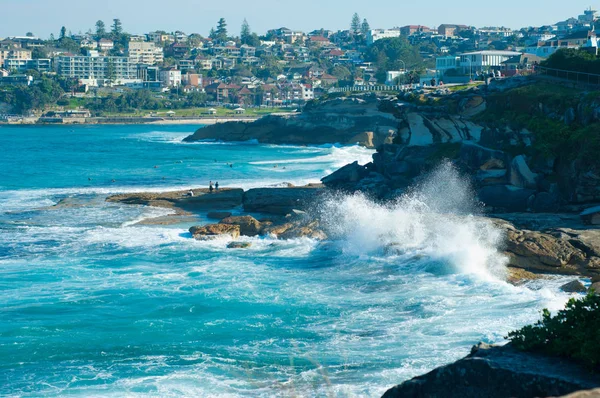 Bondi beach, Avustralya