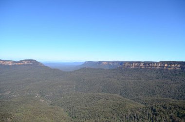 Mavi dağlar Avustralya
