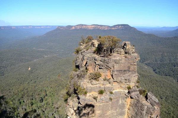 Mavi dağlar Avustralya