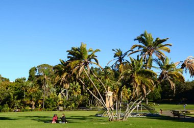 Botanik Bahçesi, Sydney 