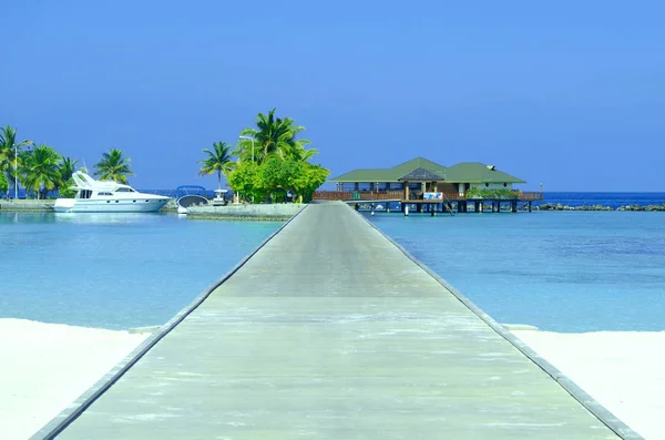 Tropical Beach Maldives — Stockfoto