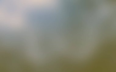 Renkli soyut ufuk bulanıklık arka plan. 