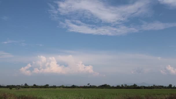 Солнечное Голубое Небо Природа Белые Облака Timelapse Timelapse — стоковое видео