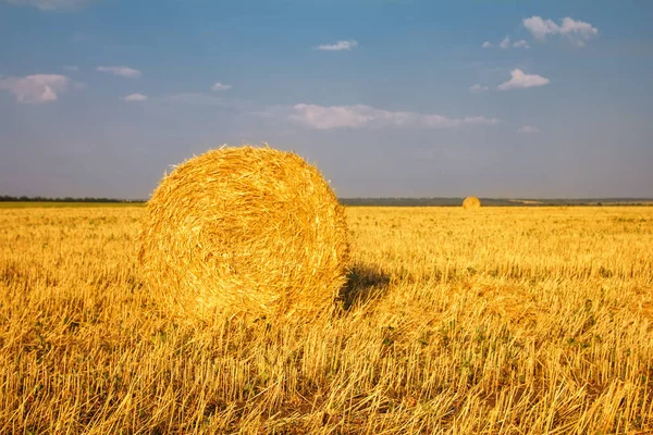 Heuhaufen auf dem Feld — Stockfoto