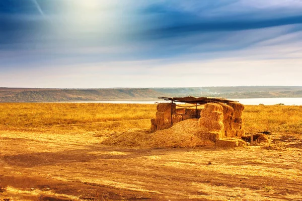 Home from the hay field and lake — Stock Photo, Image