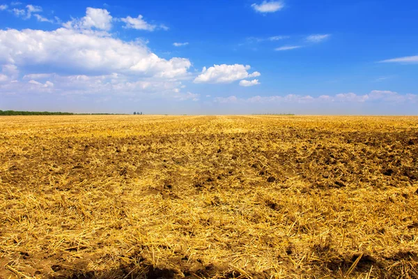 干し草のフィールド、収穫、青い空と雲 — ストック写真
