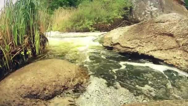 Río de montaña fluye alrededor de la piedra — Vídeos de Stock