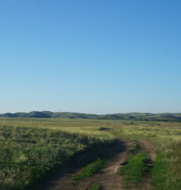 Bozkır dolambaçlı yol yaz gün