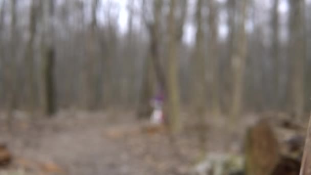 Covid19 девушка на велосипеде в лесу вниз по тропе — стоковое видео