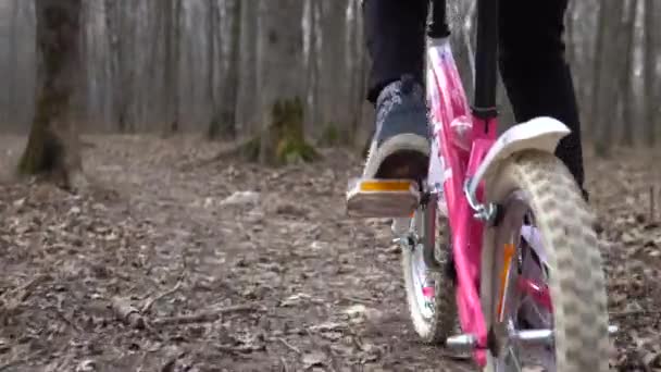 Ragazza motociclista cavalca nel parco nel bosco Bagaglio su ruote — Video Stock