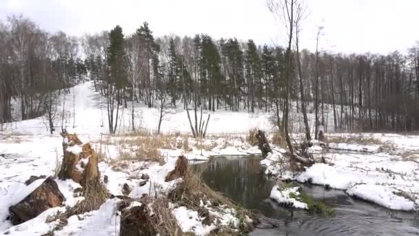 冬天的小河，环绕森林，白雪，蓝天 — 图库视频影像