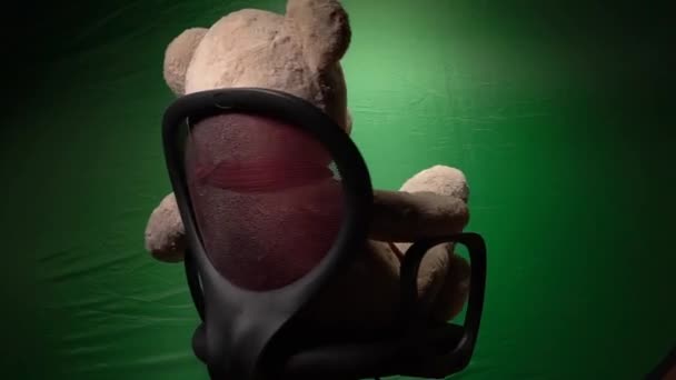 Bär auf grünem Hintergrund dreht sich auf Stuhlfuß am Bein. — Stockvideo