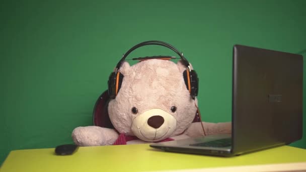 곰 테디 블로거는 녹색 배경 헤드폰을 쓰고 컴퓨터 앞에 앉아 있습니다. — 비디오