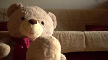 Oyuncak ayı yere oturur, kamera yana kayar.