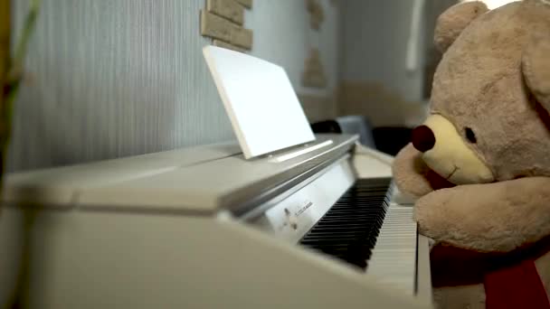 Teddy 'nin pelüş oyuncağı piyanoda neşeli bir melodi çalar — Stok video