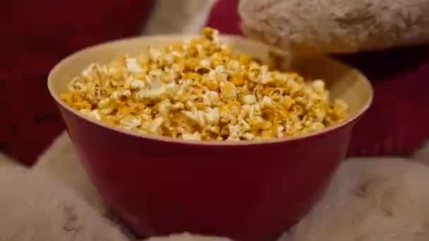Popcorn Eats Toy Bear Teddy Paw — Stock Video