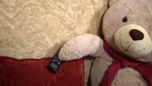 Teddybjörnen sitter på soffan och styr dammsugaren — Stockvideo