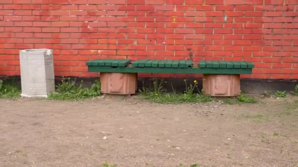 公园里靠在红墙上的长椅和一个骨灰盒 — 图库视频影像
