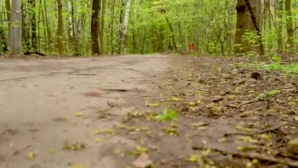 Dziewczyna jeździ na rowerze w lesie na asfaltowej drodze, widok z tyłu — Wideo stockowe