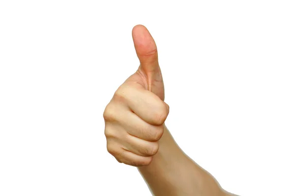 Pouces Levees Ouvert Palmier Stock Photo