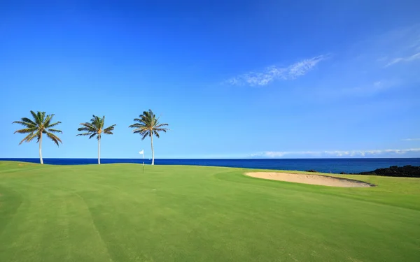 Terrain de golf sur la côte océanique — Photo